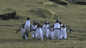 msci第三次市场变盘时间点,msci今日股票分析