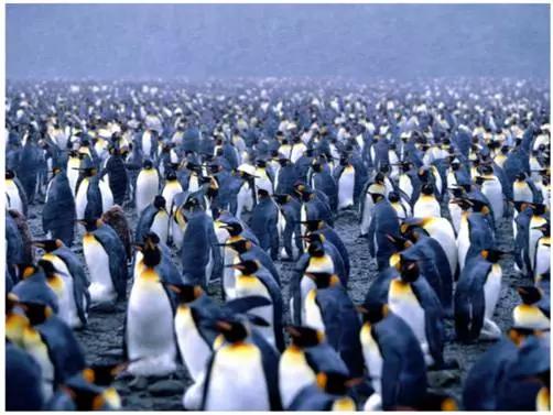 比利时凭啥排名那么高,比利时是怎么从低排名到第一