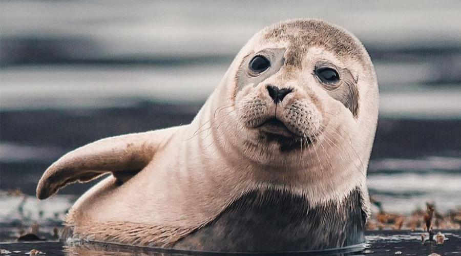 为什么vc越用越黑,为什么vc越用越刺激