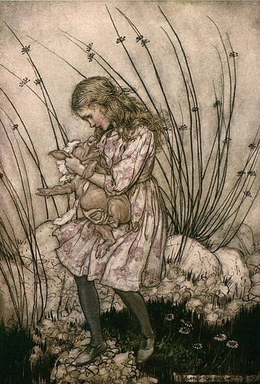 爱丽丝创始人,爱丽丝的作者是数学家