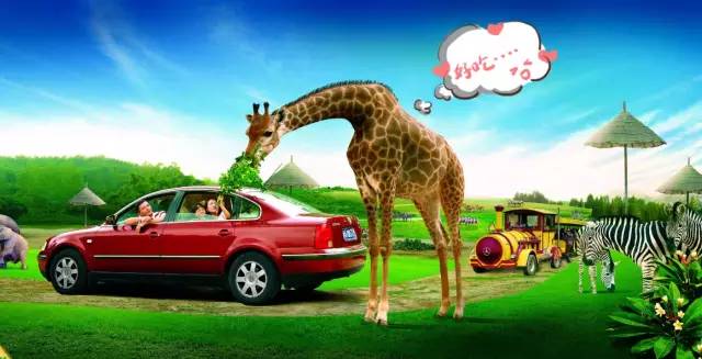 长隆欢乐世界父亲节,父亲节长隆野生动物园门票优惠