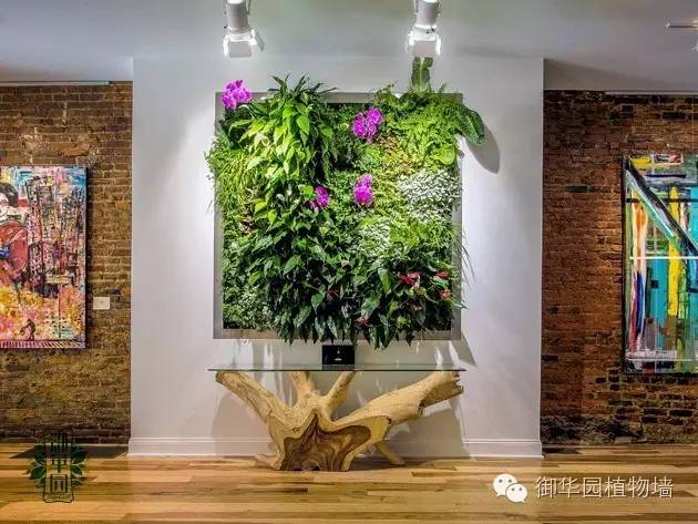 新鲜出炉┃十大唯美植物壁画排行榜，第一名竟然是......