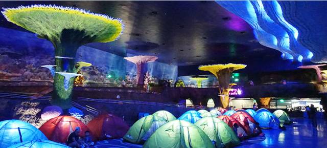 长隆欢乐世界父亲节,父亲节长隆野生动物园门票优惠