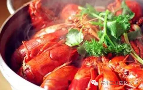 欧洲杯来了时间怎么安排,2021欧洲杯来啦