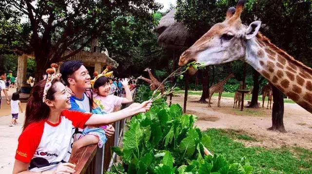 长隆欢乐世界父亲节,父亲节长隆野生动物园门票优惠