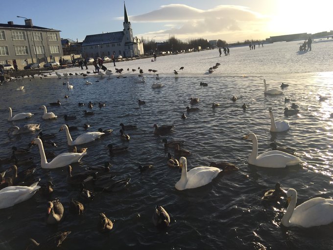当梦想照进现实图片,当梦想照进现实奔驰