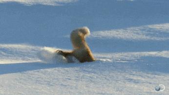 未来三个月没有假期,如何在青田抖high起来~~~(最时髦新玩法)