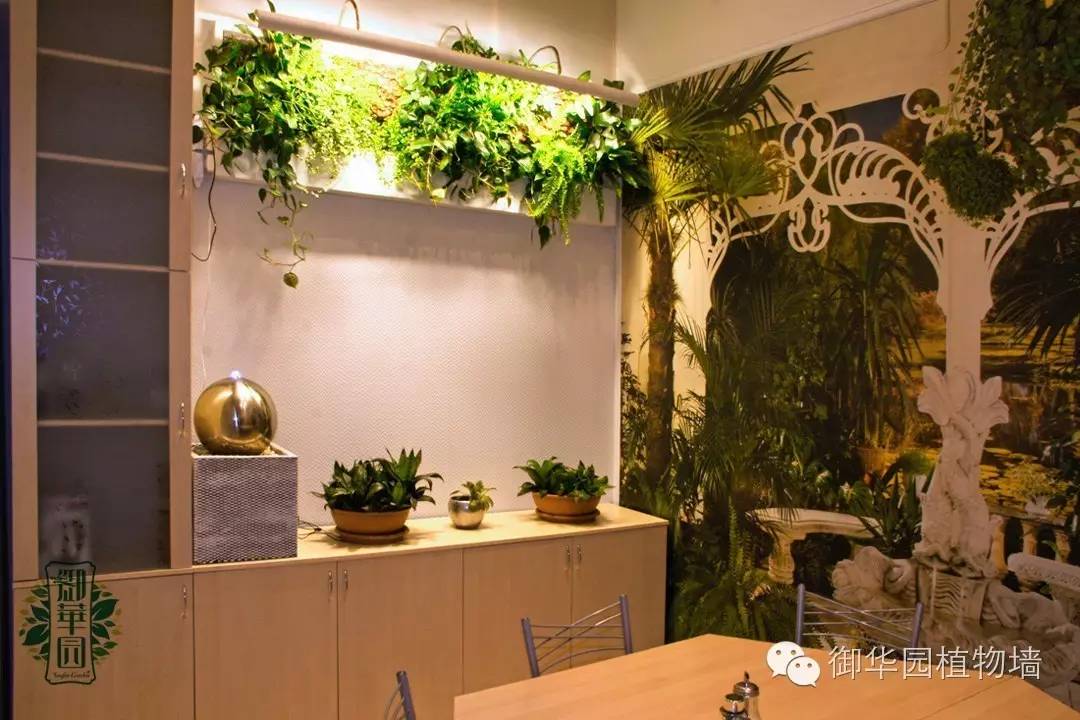 新鲜出炉┃十大唯美植物壁画排行榜，第一名竟然是......