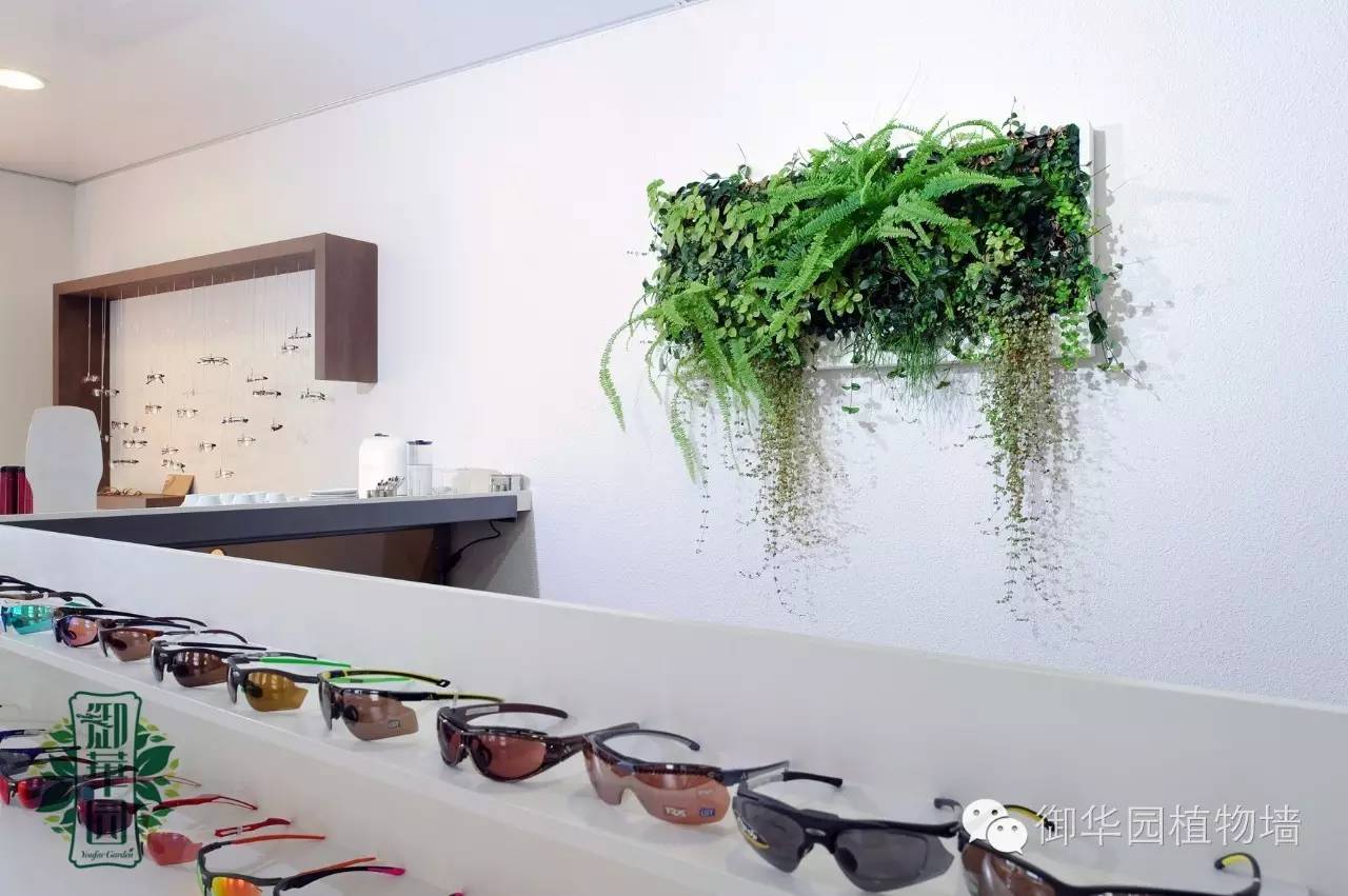 新鲜出炉┃十大唯美植物壁画排行榜，第一名竟然是......