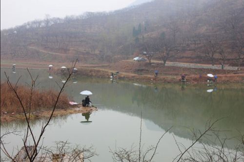 夏季山亭好玩的地方,山亭区避暑胜地