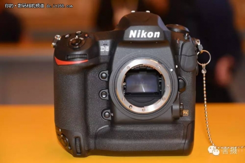 拍鸟尼康d5还是d500 (尼康d5与d500对焦系统的区别)