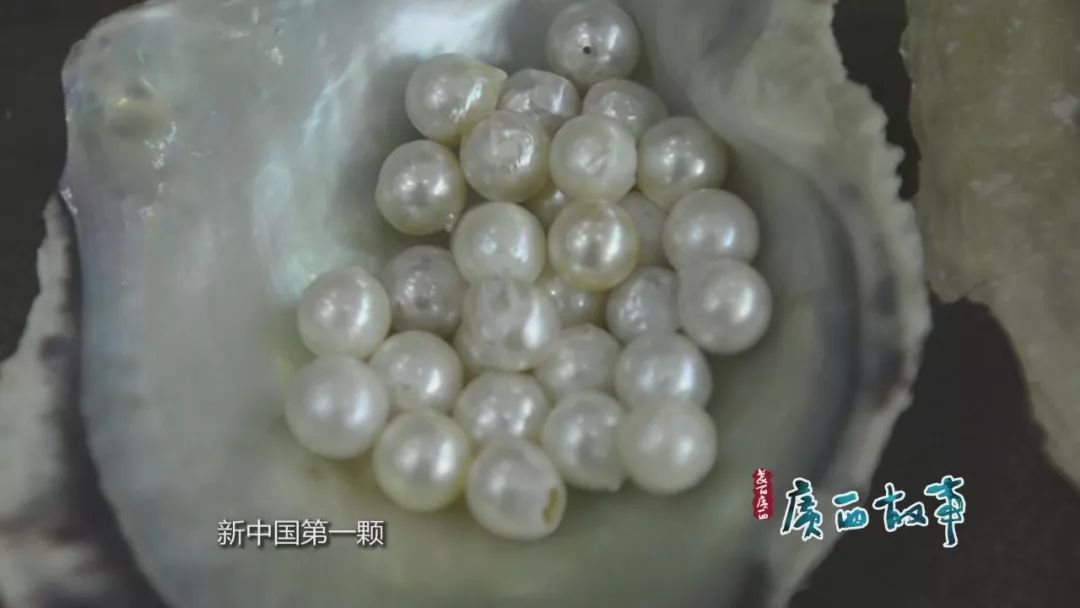 王冠上的绝世珠宝——珍珠传奇