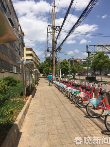 没有树也没遮阳棚昆明这10条大道成为炎夏“裸晒路”