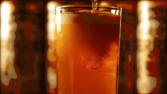 2019上海崇明薰衣草节,崇明薰衣草节旅游攻略