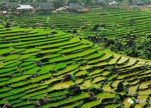 怀化溆浦县山背梯田全景,溆浦山背梯田