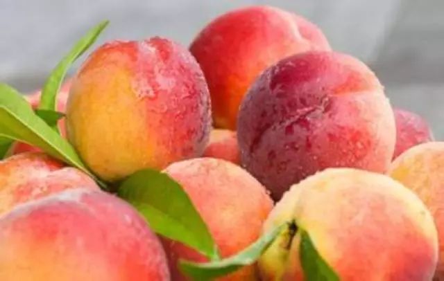 全国各地水果上市地区一览表,现在大量上市的瓜果