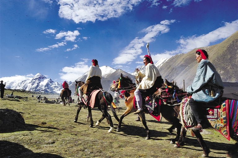 新鲜虫草采挖时间表,记者体验带你辨识采挖冬虫夏草