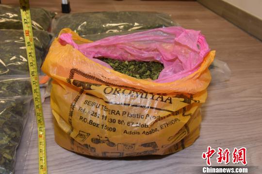 珠澳联手破获走私案例,广东四市警方联手破获制毒