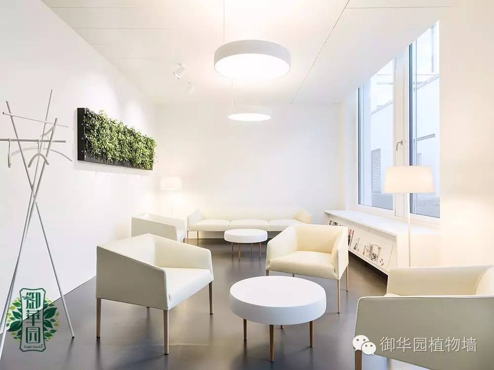 新鲜出炉┃十大唯美植物壁画排行榜，第一名竟然是......