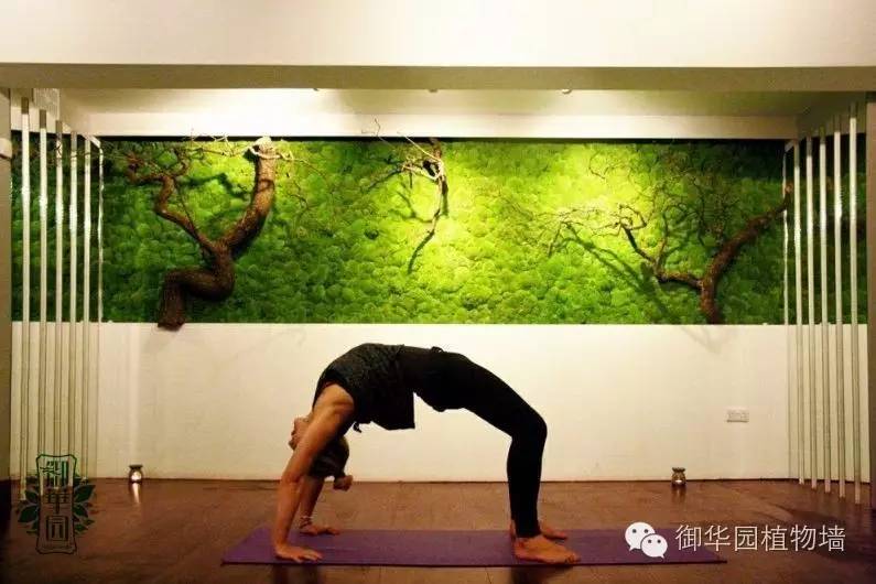 新鲜出炉┃十大唯美植物壁画排行榜，第一名竟然是......