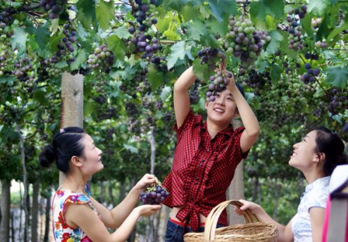 夏季山亭好玩的地方,山亭区避暑胜地
