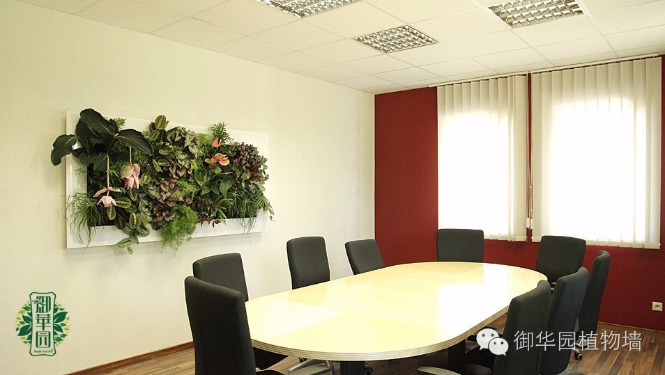 新鲜出炉┃十大唯美植物壁画排行榜，第一名竟然是......