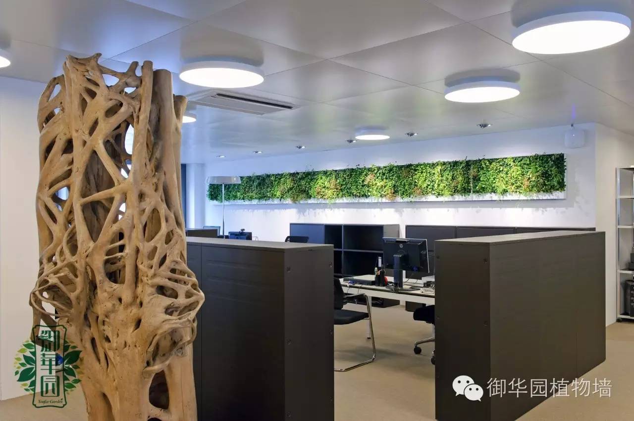 新鲜出炉┃十大唯美植物壁画排行榜，第一名竟然是......