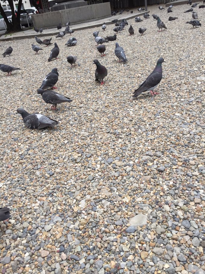 名古屋白川乡一日游,日本高山白川乡攻略