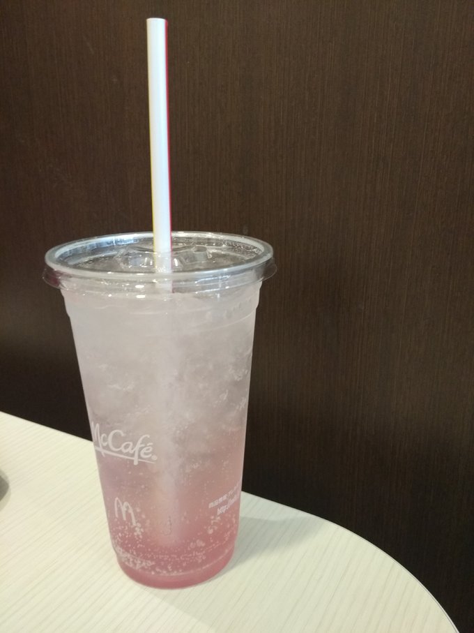 4月在冷门的日本乡下踏个春~小松、金沢5日