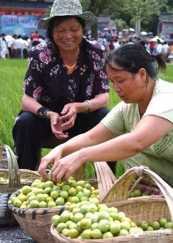 贵阳夏季鲜果采摘全攻略都在这了收好不谢