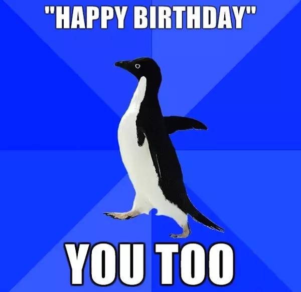 当一只企鹅感到寂寞时,它会X大地