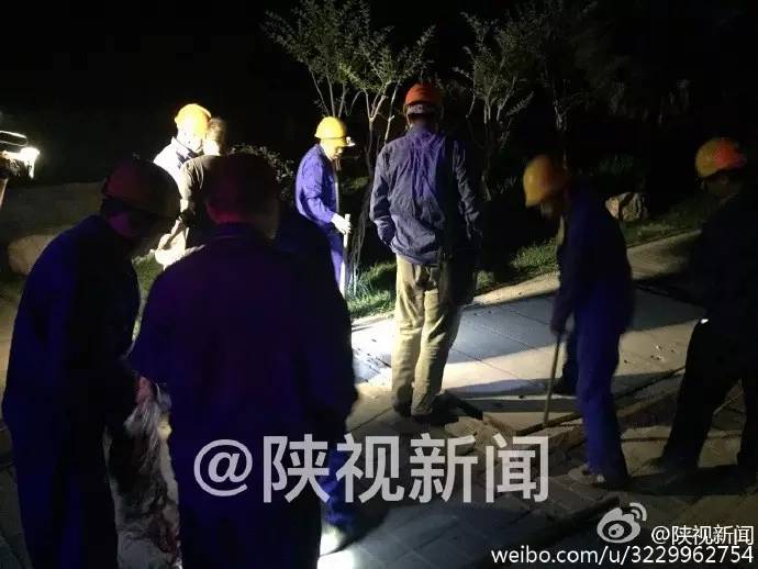 西安南郊变电站爆炸处理结果,西安电厂着火