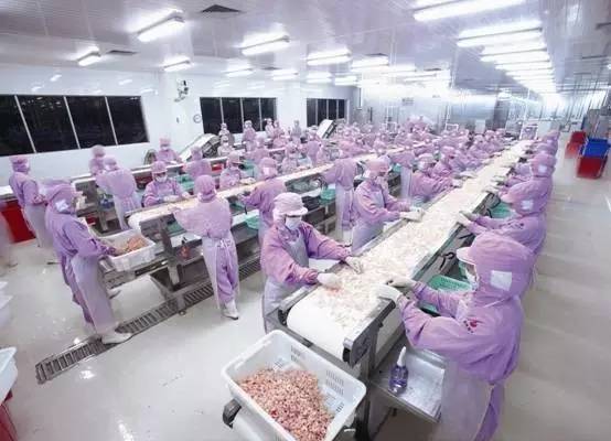 湛江正宗海鲜,只有在珠海才能吃到的美食