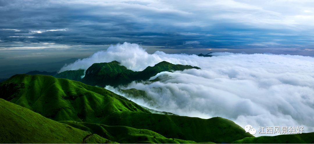 朱虹采访江西完整版,朱虹江西旅游