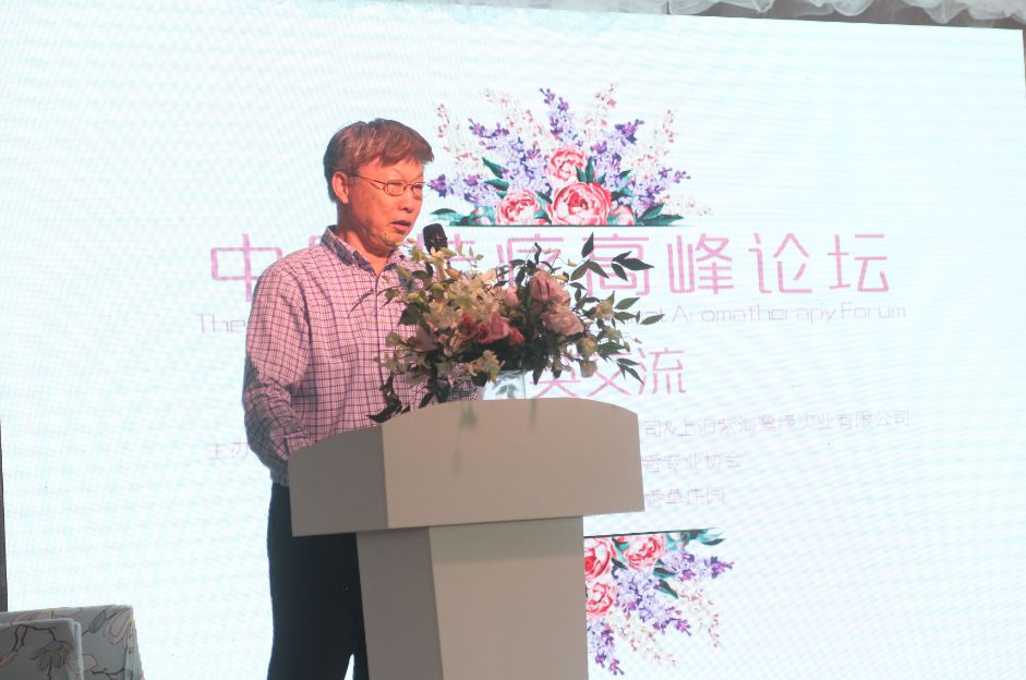 2020崇明花卉博览会,崇明花博会郁金香