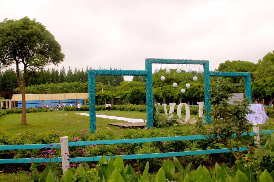 2020崇明花卉博览会,崇明花博会郁金香