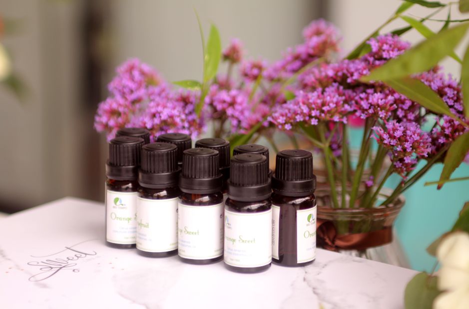 2020崇明花卉博览会,崇明花博会郁金香