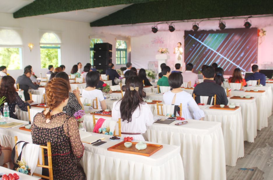 2020崇明花卉博览会,崇明花博会郁金香