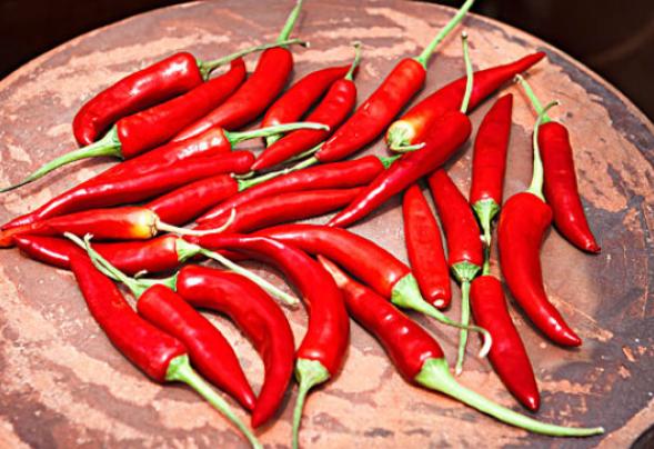 孕期不能吃太多也不能补太多,孕期不能吃太多橙子吗