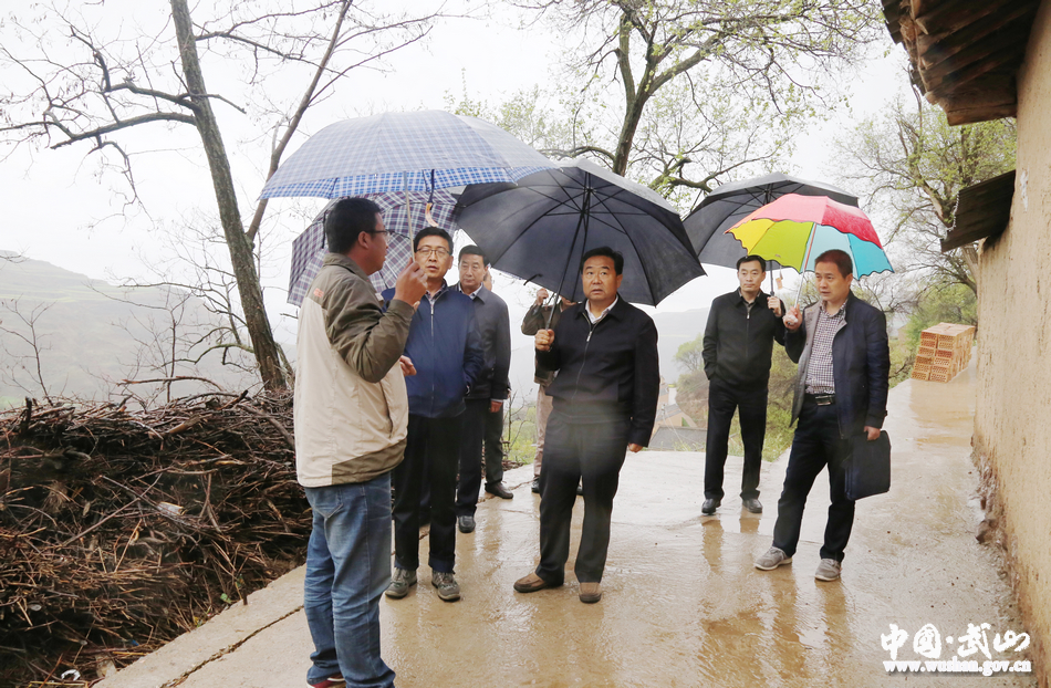 武山索鸿宾,武山县新闻索鸿宾