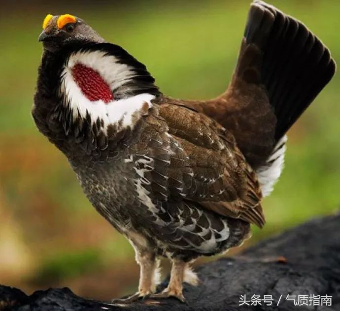 朋友圈里卖低价服装的真相,朋友圈代购真实案例