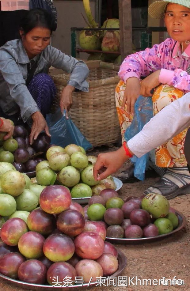 柬埔寨热带水果怎么挑选,柬埔寨哪几种水果好吃又便宜