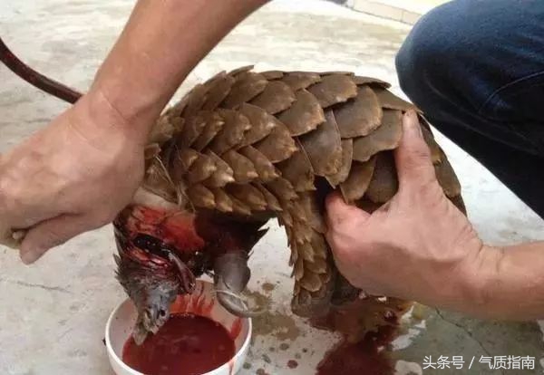 朋友圈里卖低价服装的真相,朋友圈代购真实案例