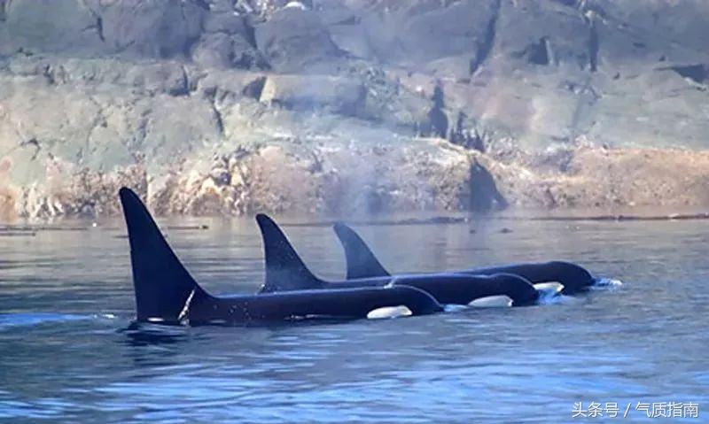 朋友圈里卖低价服装的真相,朋友圈代购真实案例