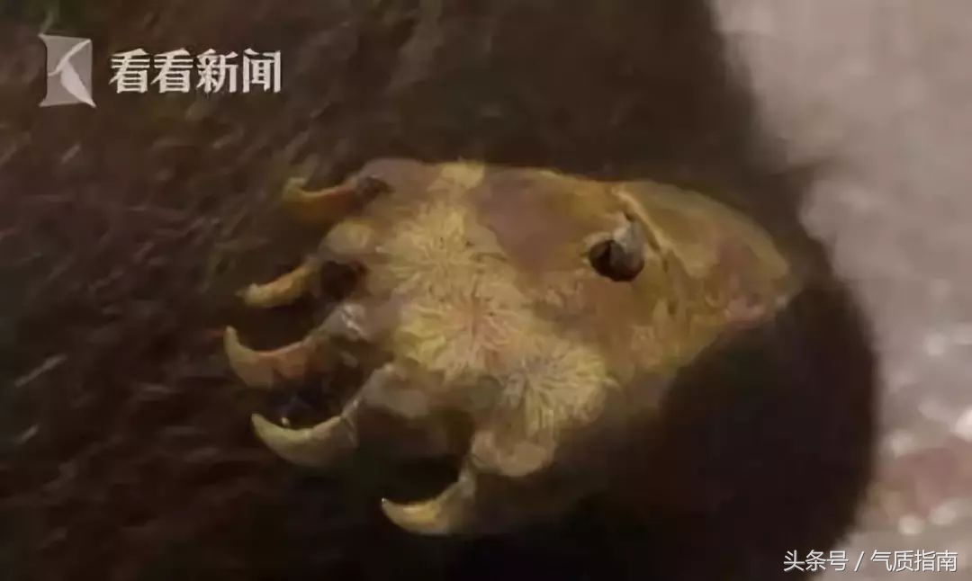 朋友圈里卖低价服装的真相,朋友圈代购真实案例