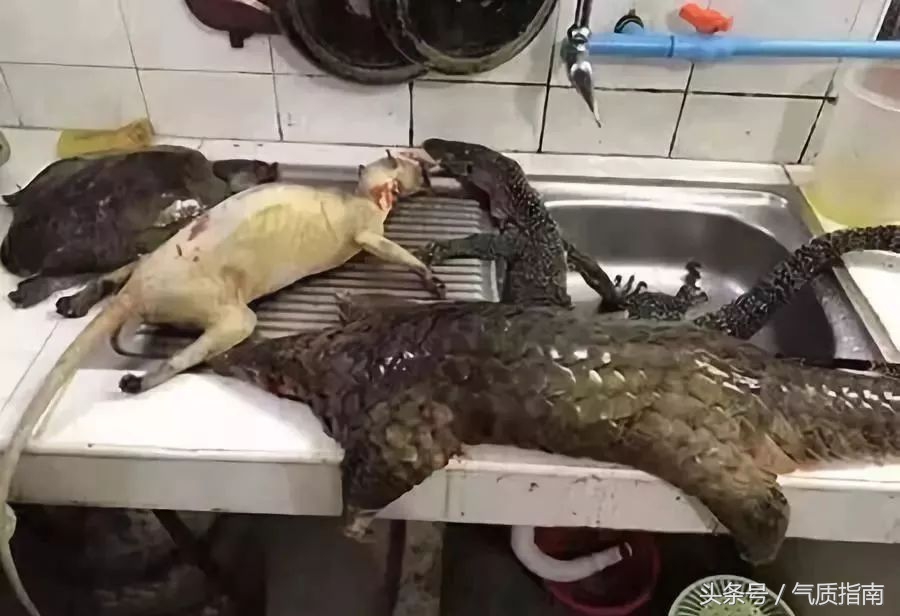 朋友圈里卖低价服装的真相,朋友圈代购真实案例