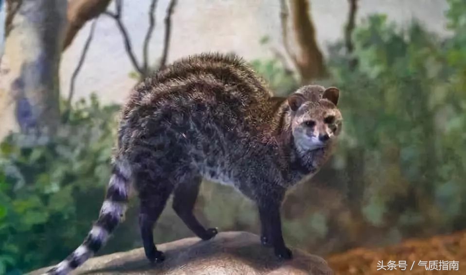 朋友圈里卖低价服装的真相,朋友圈代购真实案例