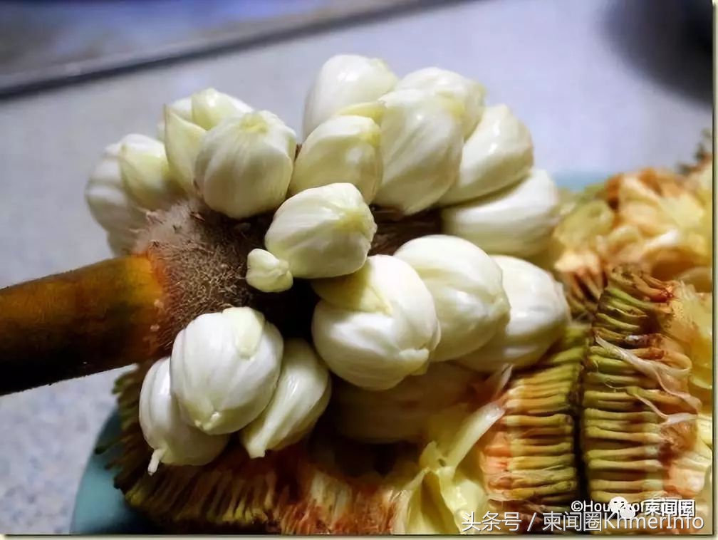 柬埔寨热带水果怎么挑选,柬埔寨哪几种水果好吃又便宜