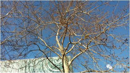 三星galaxya9怎么样,三星galaxya9上手