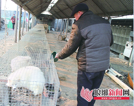 皮草亏本特价,皮草促销清仓处理